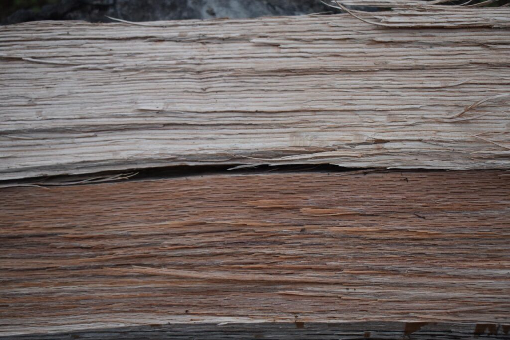 firewood moisture